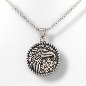 Ezüstszínű nemesacél sólyom medál